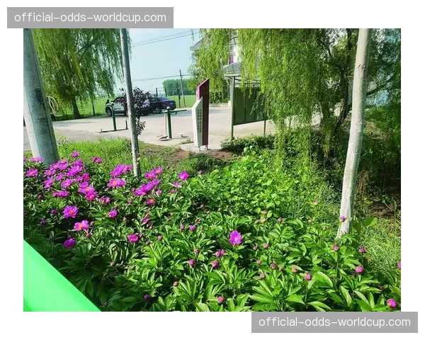 环保行动:欧冠决赛场馆将100%使用绿色电能,并推行电子票务 环保行动:欧冠决赛场馆将100%使用绿色电能,并推行电子票务